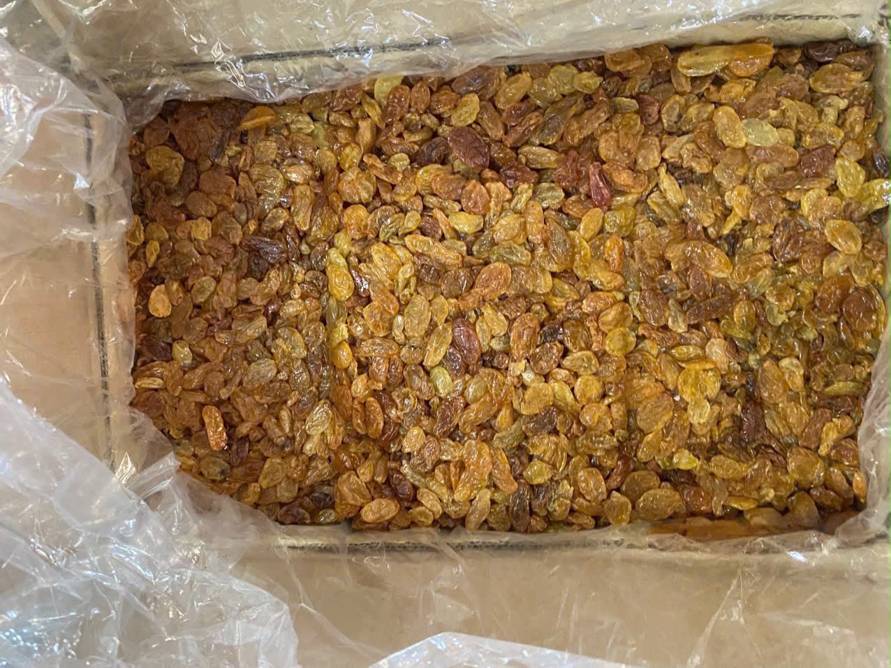 Golden raisins packed in carton